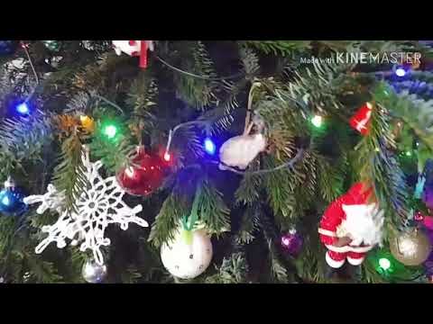 Refren gitara z harmonijką