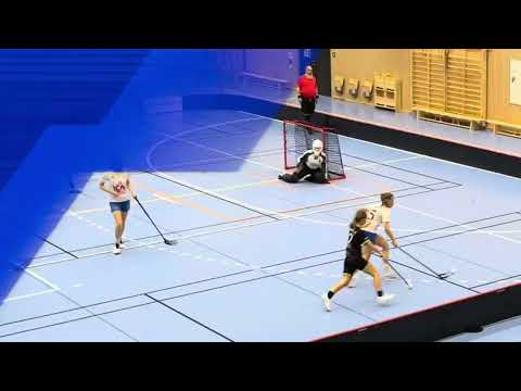 Highlights Dam B träningsmatch /Kvidinge IBS - Häljarps SK 9-5
