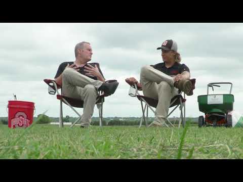 Fall Lawn Care (Daytime Columbus)