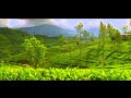 Sri Lanka - The Place of a Lifetime 