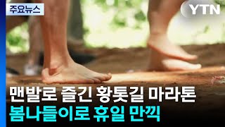 맨발로 즐긴 황톳길 마라톤...봄나들이로 휴일 만끽 / YTN