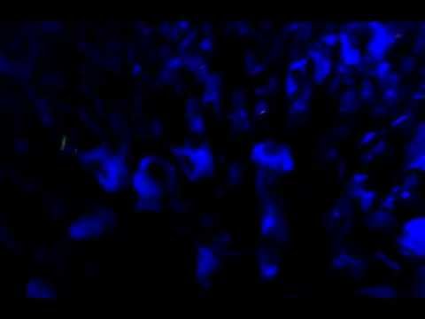 TIESTO - Elements of Life Chapter 11