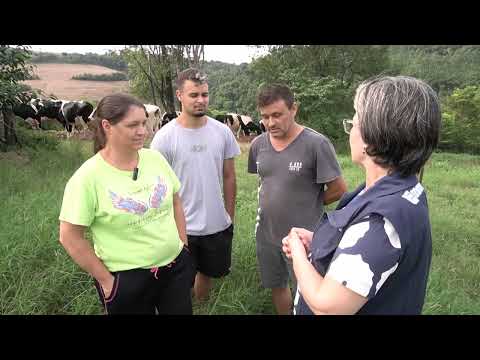 Produção leiteira e piqueteamento fortalecem famílias rurais em Derrubadas - Rio Grande Rural