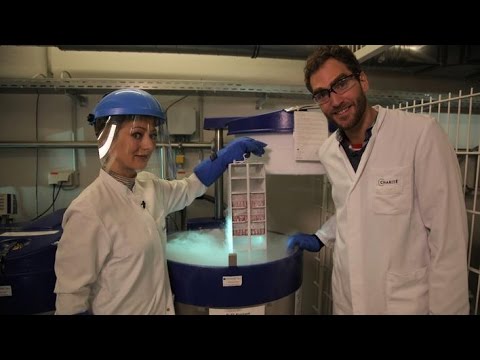 [Doku HD] Xenius - Frozen Life - Was ist Kryokonservierung