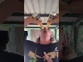 #beer #unclesink #viral