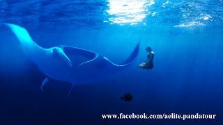 Meditation music online Relax deep meditation Yoga music meditation горящие туры Мальдивы Six Senses