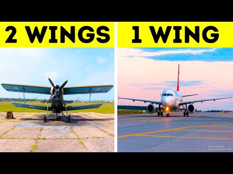 All Airplanes Actually Have Only One Wing