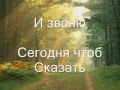 I Just Called To Say I Love You 
