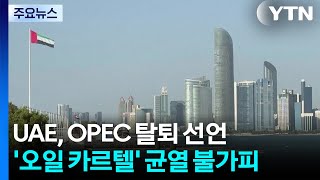 UAE, OPEC 탈퇴 선언...사우디 중심 '오일 카르텔' 균열 불가피 / YTN