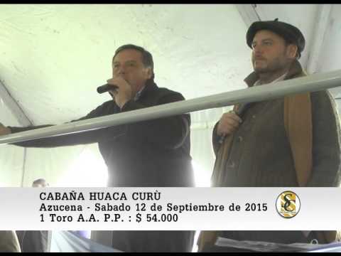 12-09-15 Venta de Toros P.P. - Cabaña Huaca Curù - Azucena.