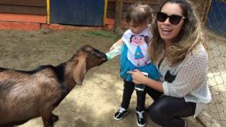 Vídeo de 1 ano do Passeios Kids