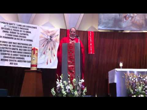 Señor, concédeme tu Espíritu. Homilia Domingo de Pentecostés 2011-06-12