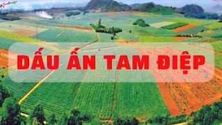 Hội liên hiệp phụ nữ phường Tam Điệp chuẩn bị các điều kiện hướng tới Đại hội đại biểu phụ nữ phườn