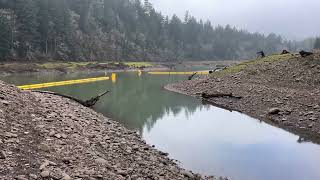 Trout Stocking Schedule 2026 (Foster Lake & Green Peter South Santiam Oregon)