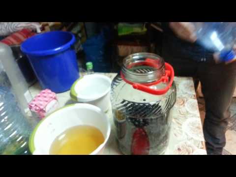 Nalewka z tarniny. Jak zrobić nalewkę z Śliwy Tarniny.