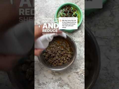 Top 3 Supplements You Need to Start Adding to Your Pet's Food