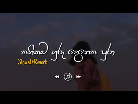 Thanikama Huru Denetha Pura - තනිකම හුරු දෙනෙත පුරා (Slowed+Reverb)
