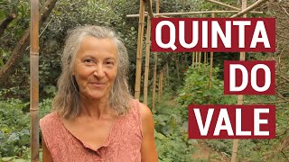 Off-grid living in Portugal: Moving on after the fires. Wendy Howard’s Quinta Do Vale [Benfeita]
