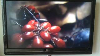 Saga   Thorens TD166 Will It Be You   Chapter 4