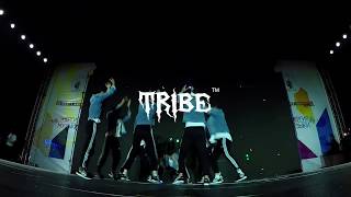 Lewis Del Mar - H.D.L. | TRIBE 1place Best Show