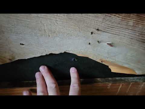 Shingles blowing off roof - Roof decking boards gapped and cracked