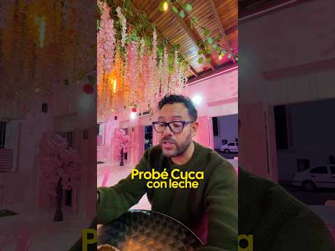 Récord Guinness en helados 😱 Heladería Coromoto Mérida 🇻🇪 #recordguinness #venezuela #helados