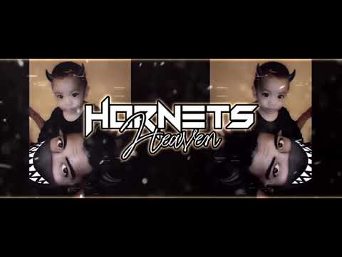 NP HEAVEN X MR VEGAS KORONA xX MIX 2020 #Hornets