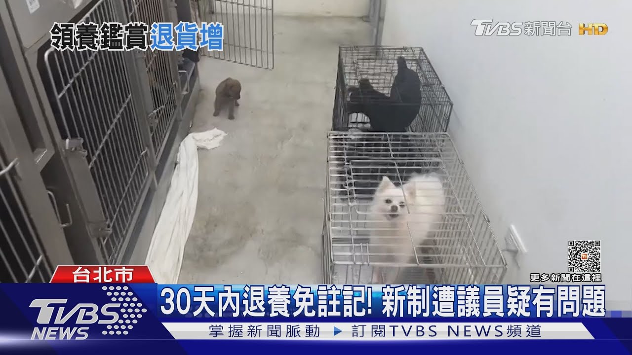 寵物30天試養 議員:退養比賣場退貨多