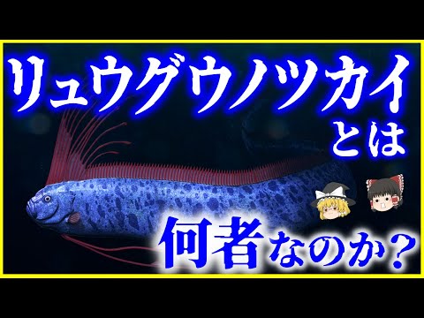 Gymnothorax javanicus