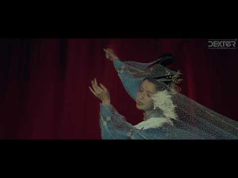 Video Image