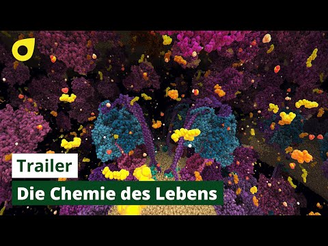 Die Chemie des Lebens – Das Unsichtbare in uns | Trailer