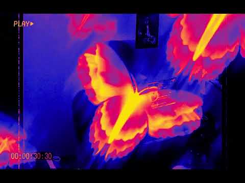 PKyouung & JovemJN - Barulho Da Glock