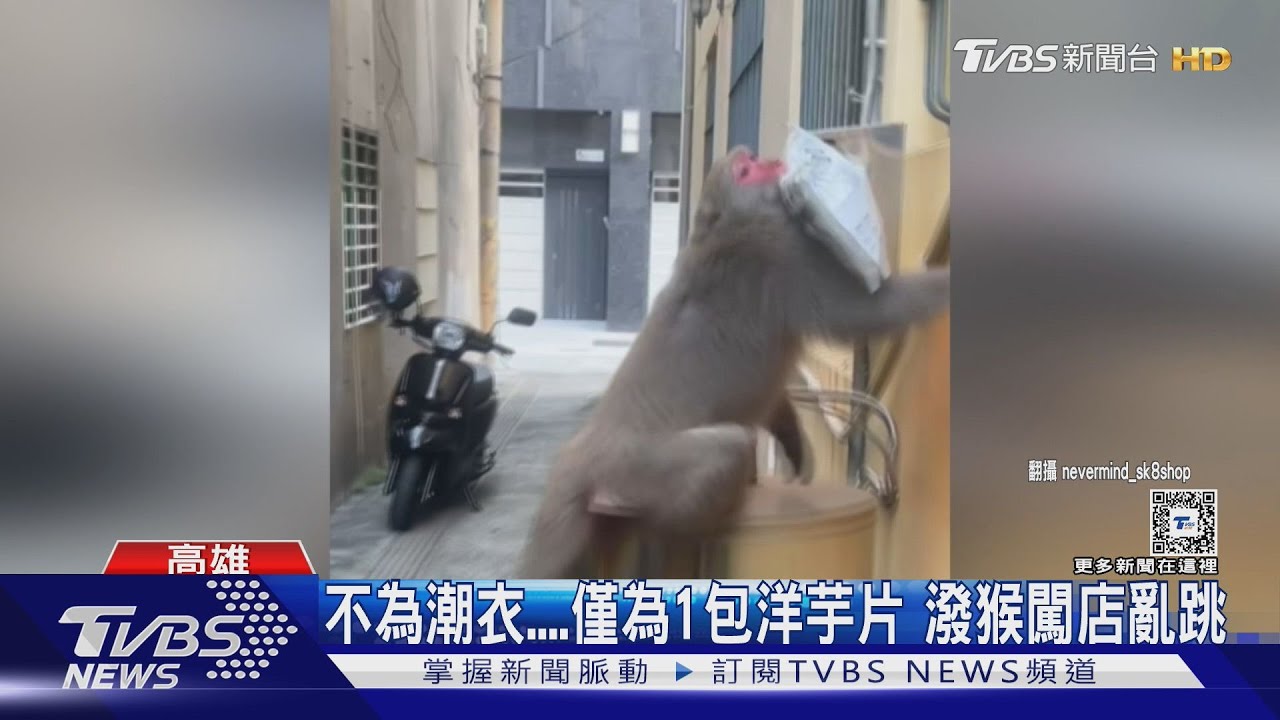 潑猴闖潮衣滑板店搶洋芋片 店家:遇土匪了