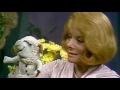 Shari Lewis and Lamb Chop
