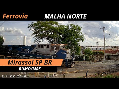 TREM AO VIVO MIRASSOL SP BRASIL