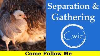 Come Follow Me LDS- Doctrine and Covenants 29