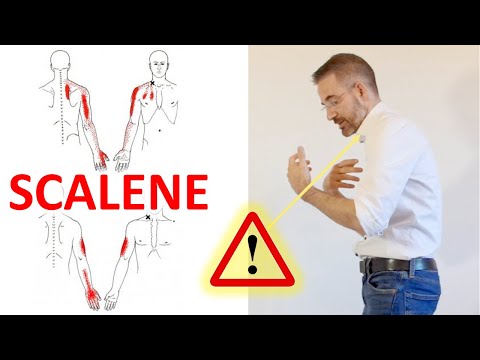 Stretch Your Neck Scalenes Muscles | Scalene Muscle Release