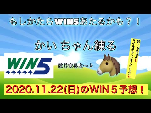 ＃マイルCS ＃GⅠ ＃WIN5 ＃競馬 「もしかしたらWIN5当たるかも⁉︎」【2020.11.22】
