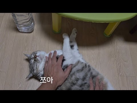 고등어 주물럭