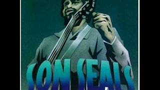 Son Seals - I&#39;m Gonna Take It All Back