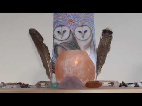 Guided Meditation - owl totem