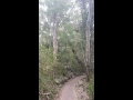 Burleigh Hill Walk Feel Great Naked Workshops Gold Coast Brisbane Ph 0422876400