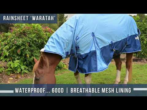 Delzani Waratah Rainsheet Neck Combo video – 600D ripstop outer, sports mesh lining, waterproof turnout highlights