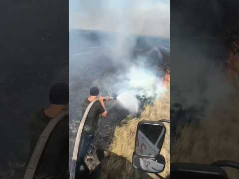 Боротьба за врожай до останнього! 🌾🔥 #агро #farming #viral #agriculture #трактор #farm #tractor