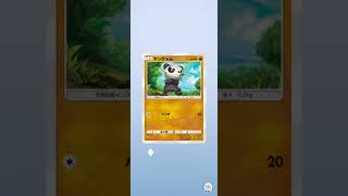 40枚とかの戦い出ないのかな… #pokemon #ポケカ再販最新情報 #pokemoncards #おれポケ #ポケモンカード #ポケポケ #pokemontcg #ポケモン #ポケカ