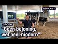 Boer Christian heeft vrije uitloop stal op zand voor zijn koeien | RTV Oost