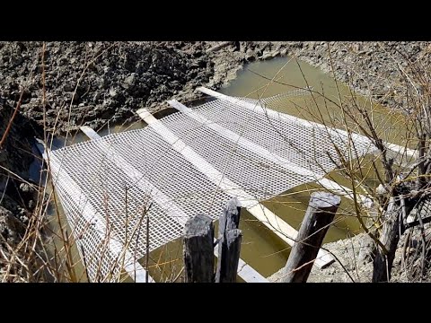 MARIM BALTA DE ACASA !