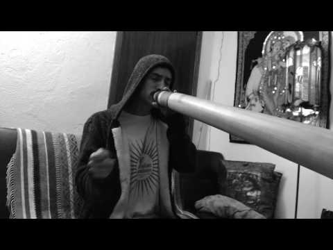 João 120sec. Didgeridoo Challenge // '' Mouse in a Trap''
