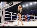 Ring Card Girls турнира 23 апреля 2016 в Киеве 3
