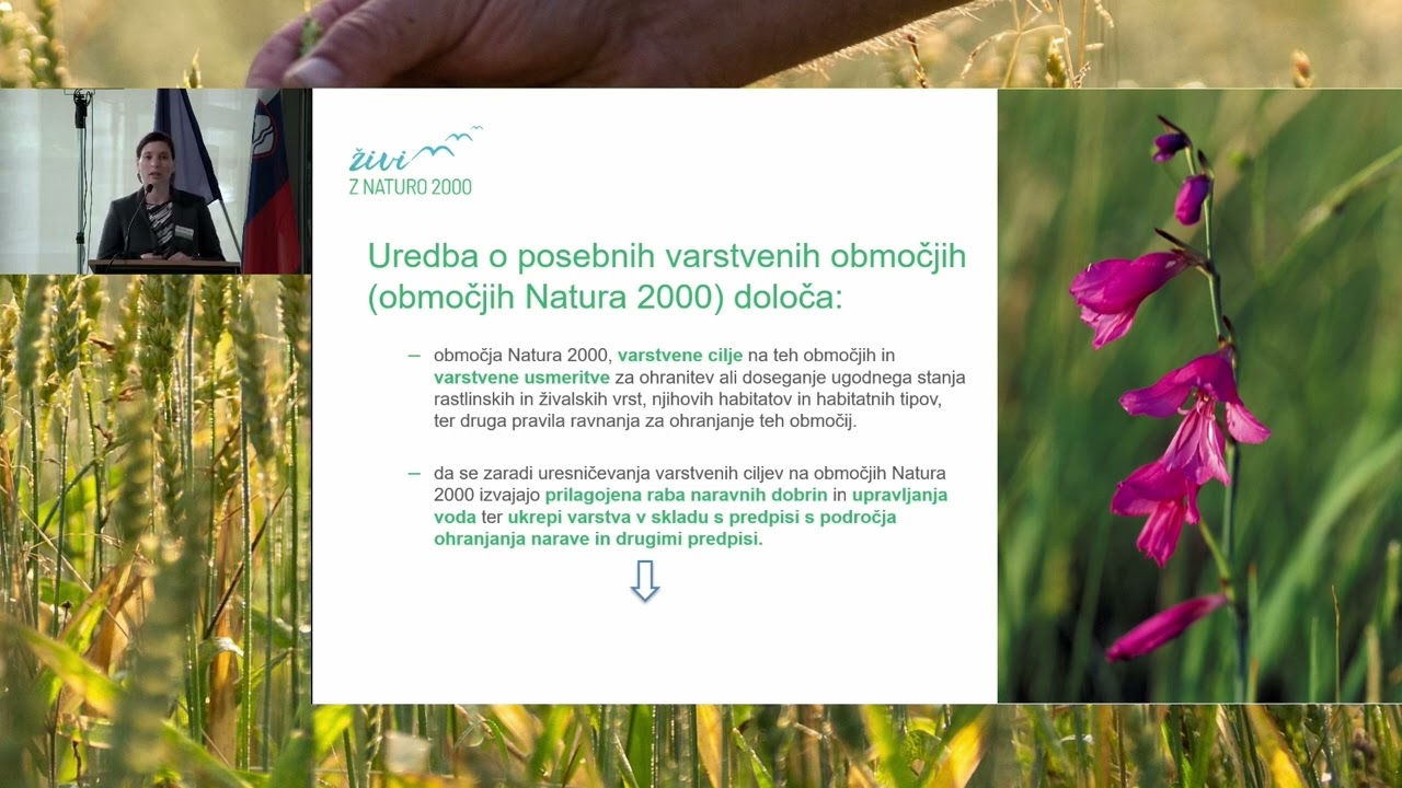 07 Ida Jelenko Turinek